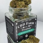 Jamaican Pearl Bud in Produktglas von cbd farm